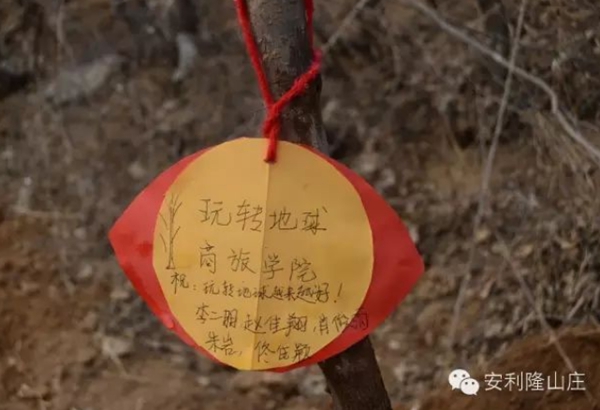活动