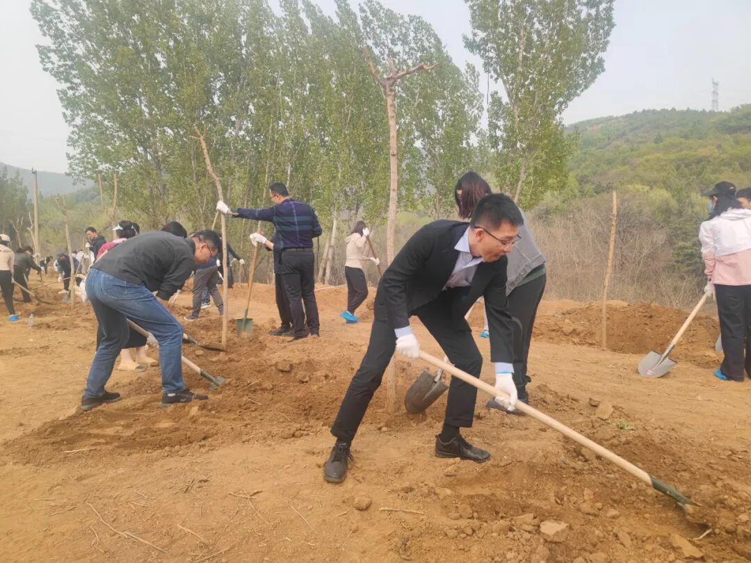 植树节播种希望 | 让希望破土而出